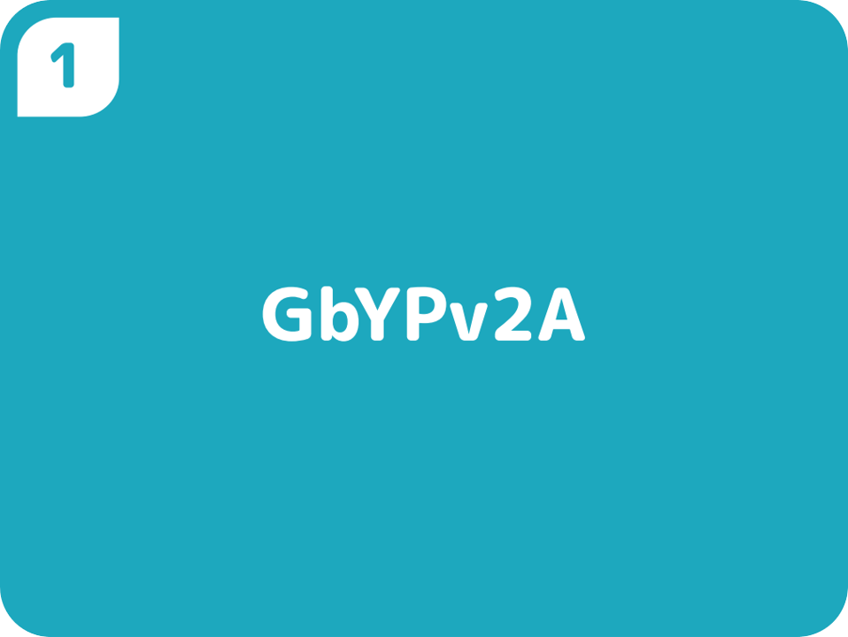1GbYPv2A